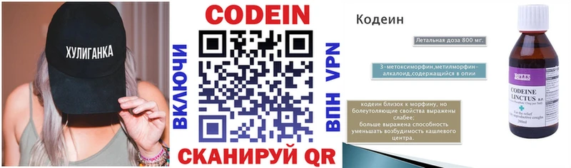 Купить закладки  Знаменск  Кодеиновый сироп Lean напиток Lean (лин) 