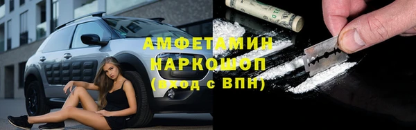 гидра Костерёво