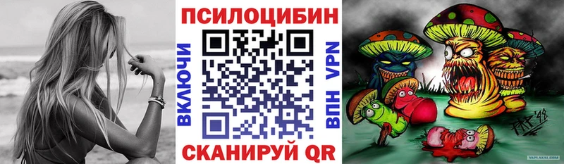 Галлюциногенные грибы Psilocybine cubensis  Купить где  Знаменск 